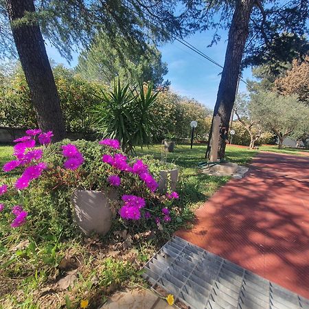 Mercadante - Luxury Holiday House Кассано-делле-Мурдже Экстерьер фото