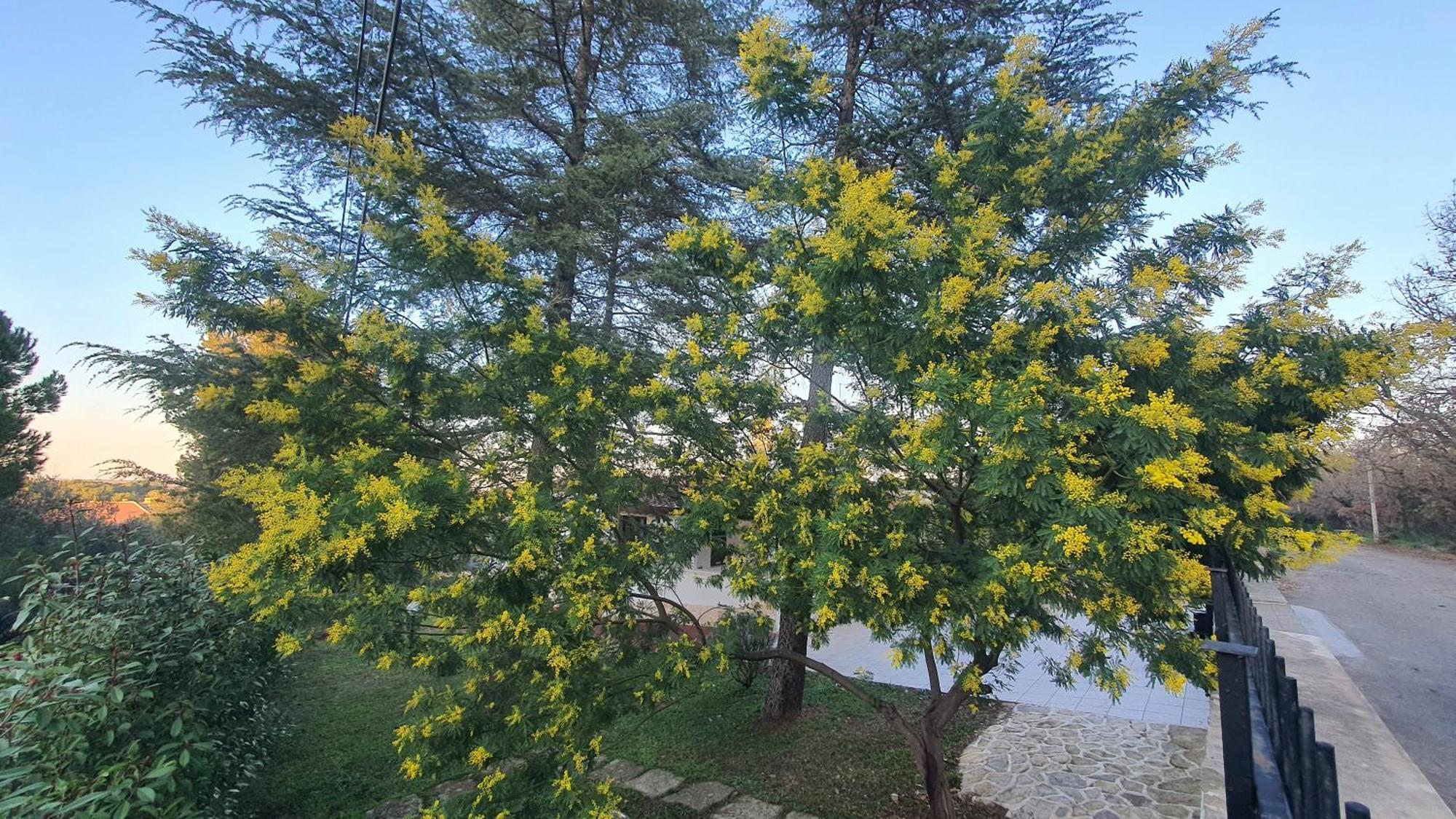 Mercadante - Luxury Holiday House Кассано-делле-Мурдже Экстерьер фото